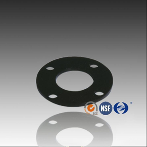 PE anti-corrosie flensring