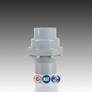 Valvola di ritegno a battente CPVC Colore grigio standard DIN