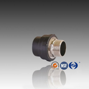 Socket Fusion PE Coupling បុរស