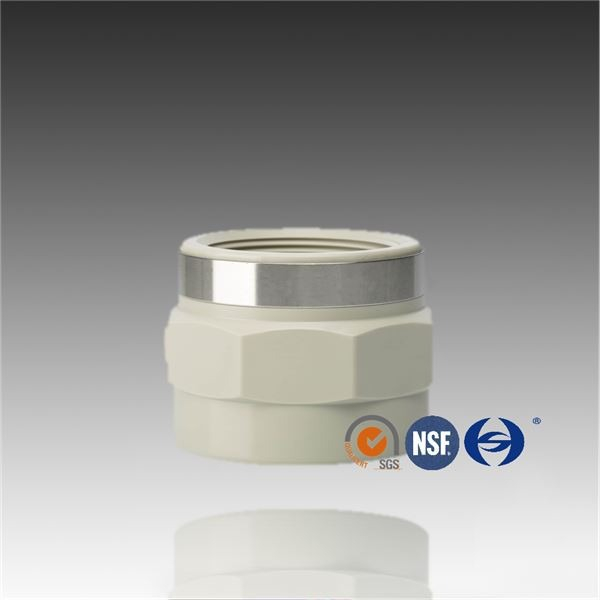 PPH PN10 Butt Fusion vrouwelijke verbindingsadapter