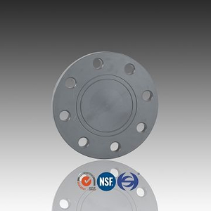 CPVCプラスチックブラインドフランジ