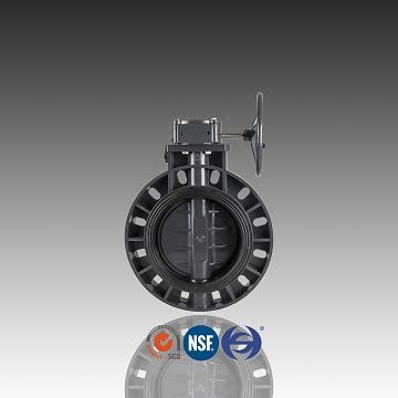 PVC Geared Butterfly Valve Din Jis ASTM Tiêu chuẩn cho nước
